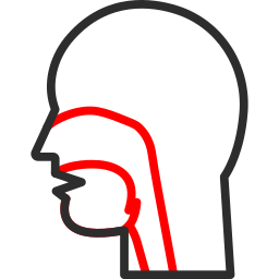 obstrucción nasal icono