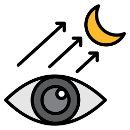 Foresight icon