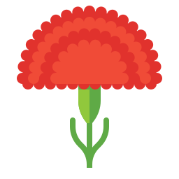Red carnation icon