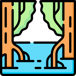 Mangrove icon