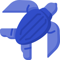 ウミガメ icon
