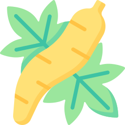 Cassava icon