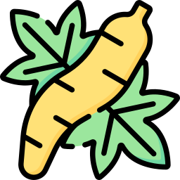 Cassava icon