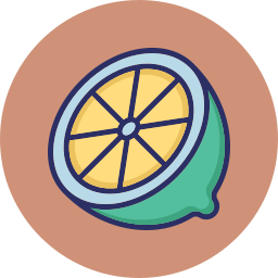 fruta cítrica icono