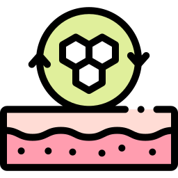 皮膚の再生 icon