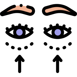 안검 성형술 icon
