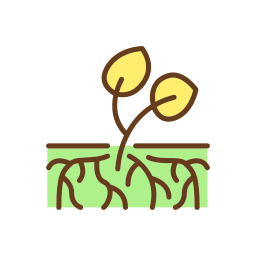 sistema raíz icono