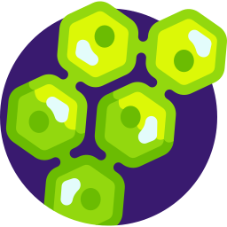 komórka roślinna ikona