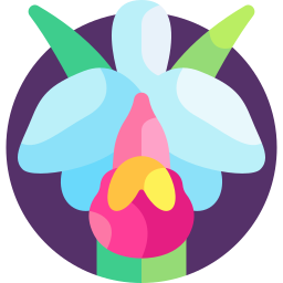 Cattleya trianae icon