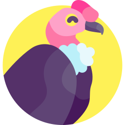Andean condor icon
