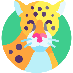 jaguar icono