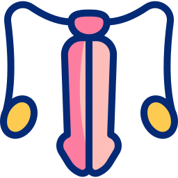 mannelijk voortplantingsorgaan icoon