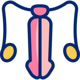 órgano reproductor masculino icono
