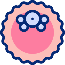 Blastocyst icon