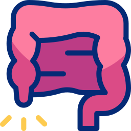 Appendix icon