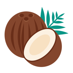 Coconut fruit icon
