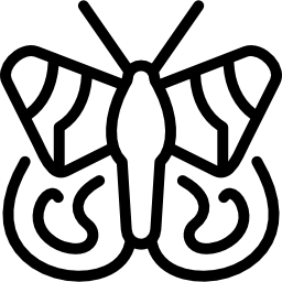 Admiral butterfly icon