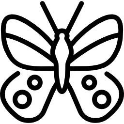 mariposa apolo icono