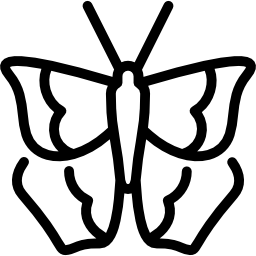 Cruiser butterfly icon