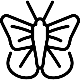 Fritillary butterfly icon