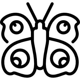 Peacock butterfly icon