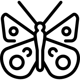 borboleta anelada Ícone