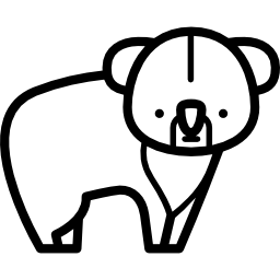 コアラ icon