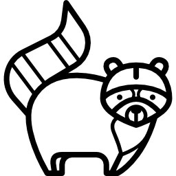 mapache icono