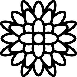 chrysanthème Icône