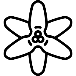 glockenblume icon