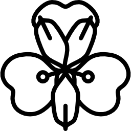 アルストロメリア icon