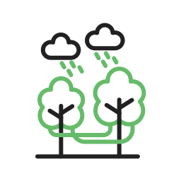 열대우림 icon