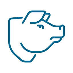 Pig icon