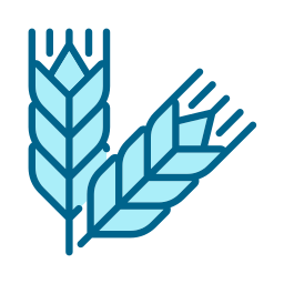 Cereal grains icon