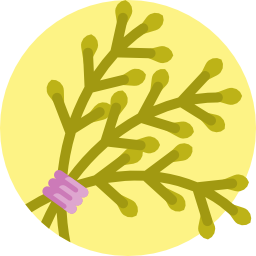 kraut icon