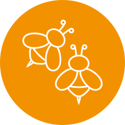 꿀벌 icon