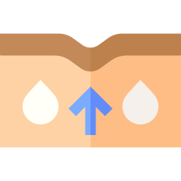 remplissage dermique Icône