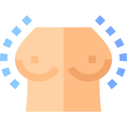 brust icon