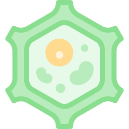 célula vegetal Ícone