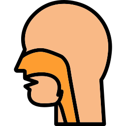 obstrucción nasal icono
