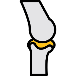 femur icon