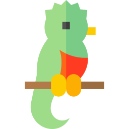 quetzal Ícone