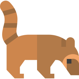 Coati icon