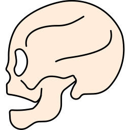 Skull icon