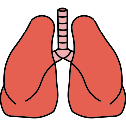pulmones icono