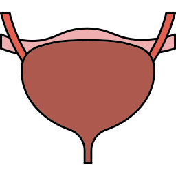 Bladder icon