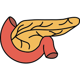 pancreatico icona