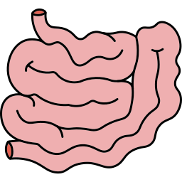 腸 icon