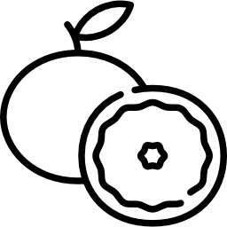 그레이프 프루트 icon