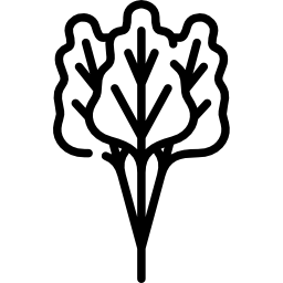 ruibarbo icono